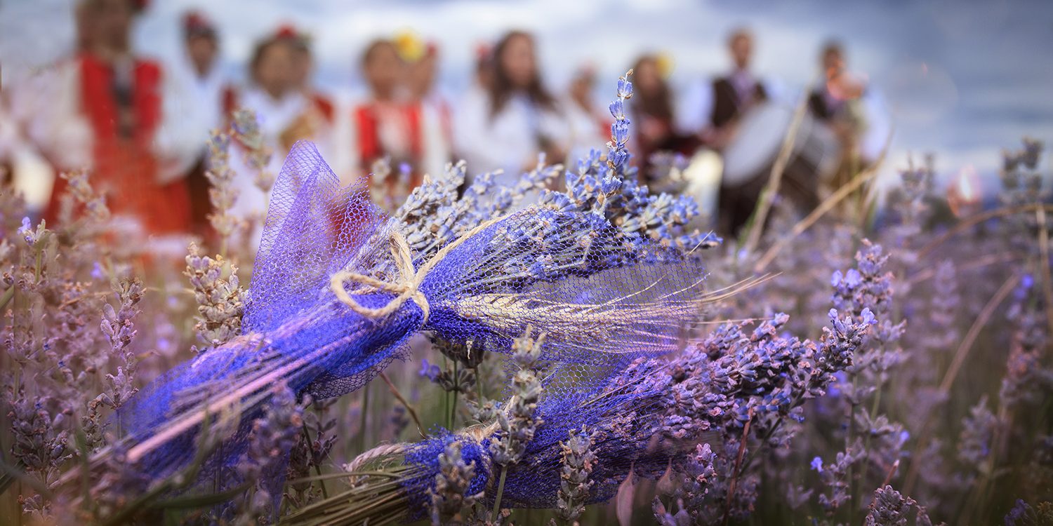 Lavender festival