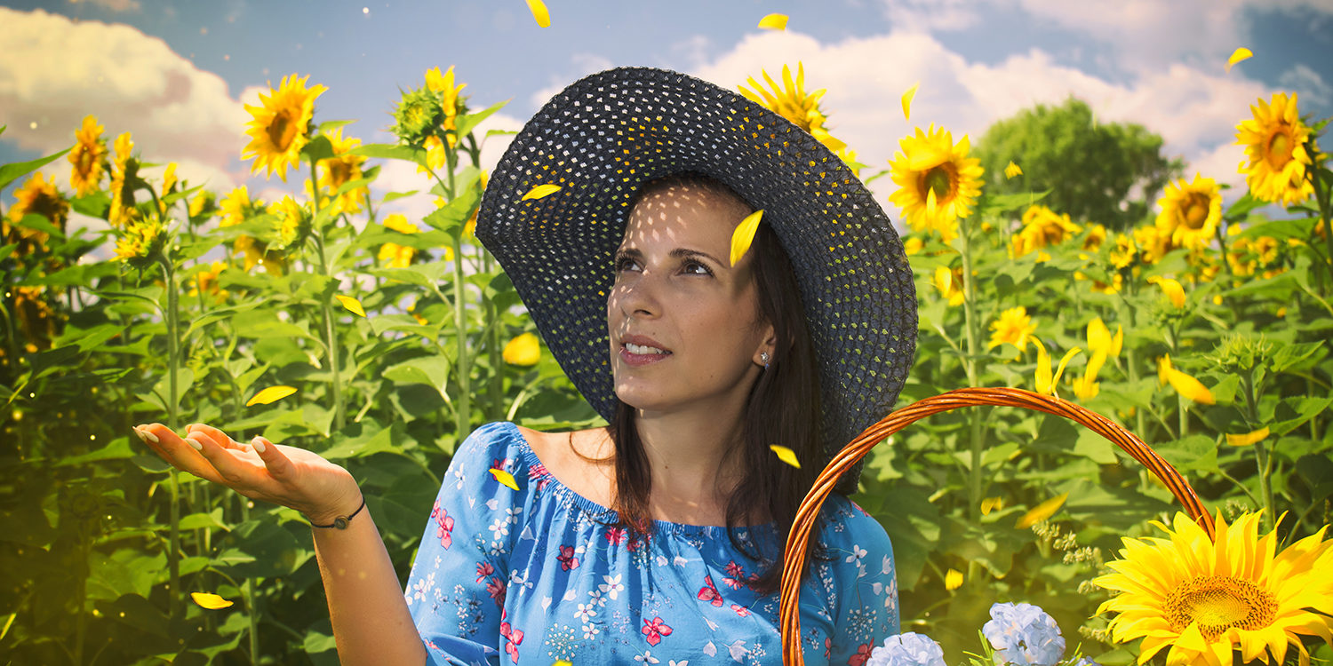 Дейзи и слънчогледите