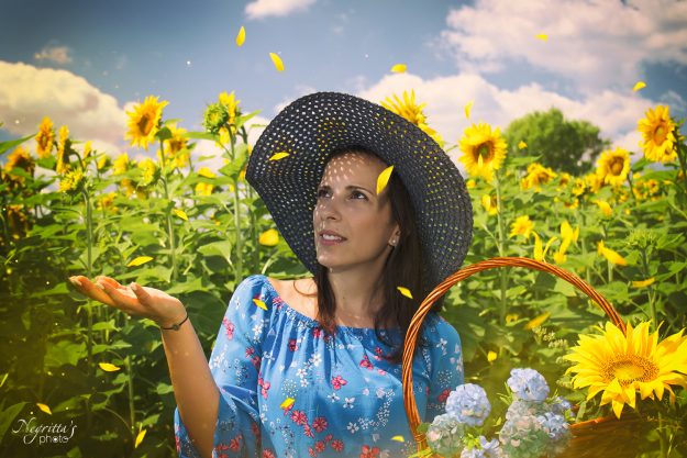 Дейзи и слънчогледите