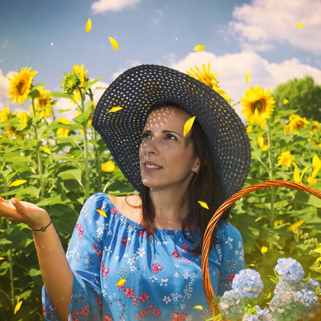 Дейзи и слънчогледите