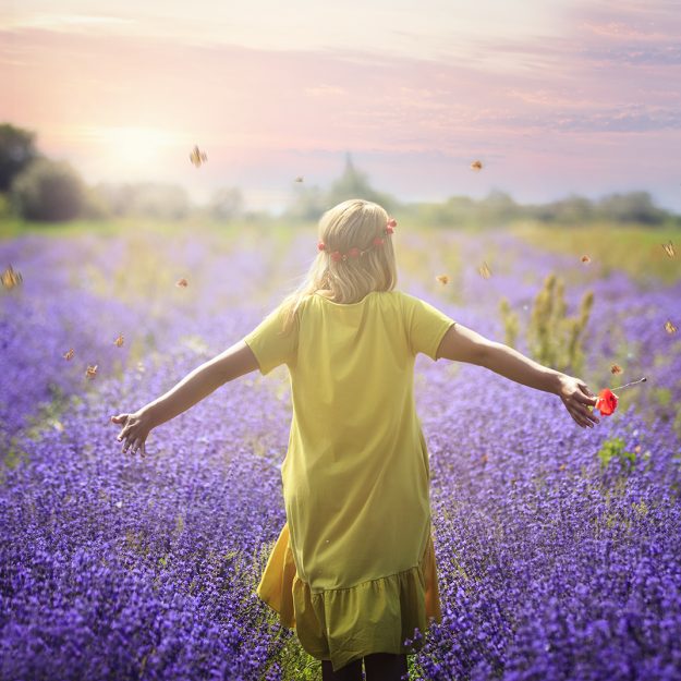 Viki & lavender